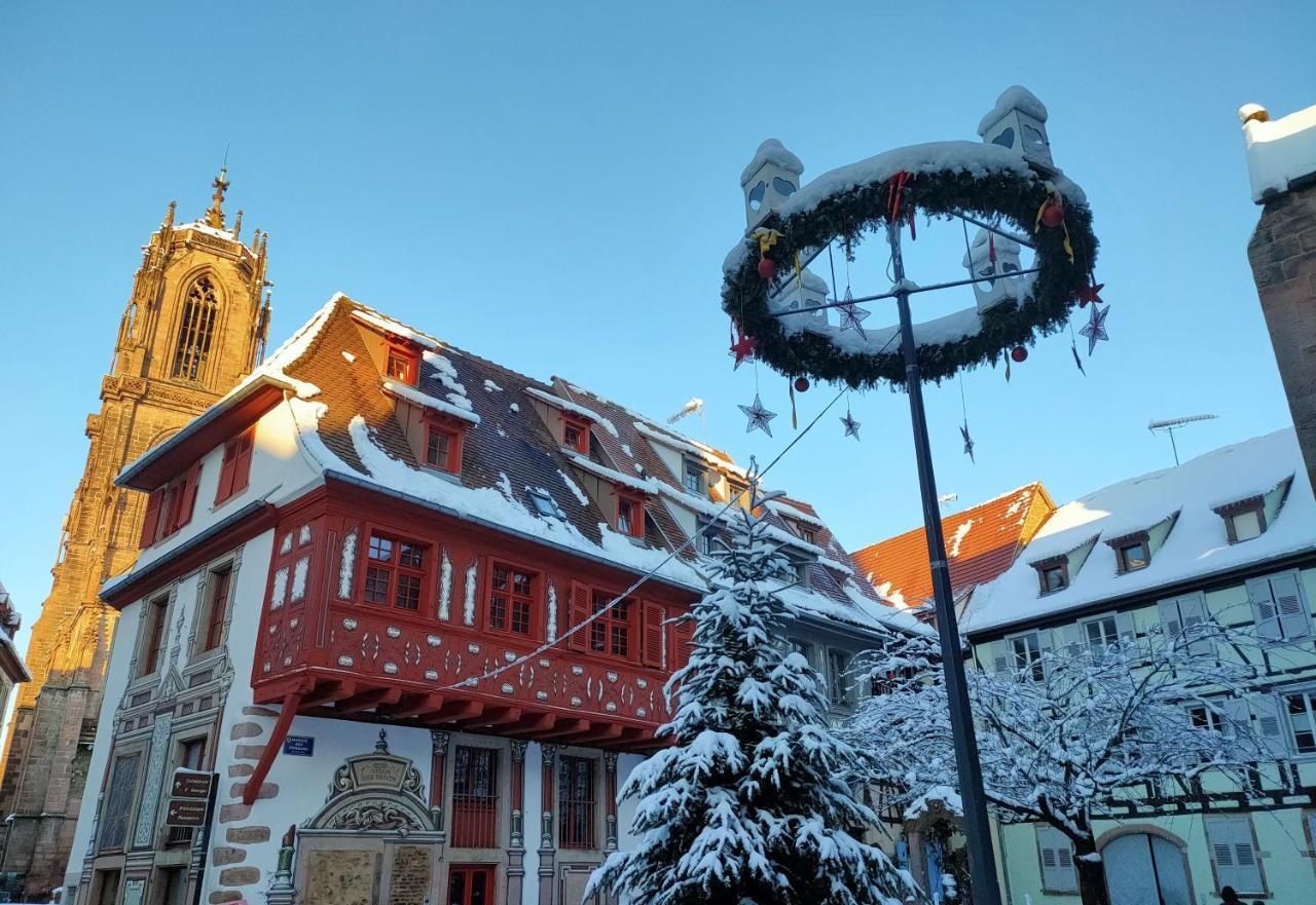 La Maison Bleue, A 20 Mn De Strasbourg, Sur La Route Des Vins, Jusqu'A 6 Personnes, Selestat Exterior photo