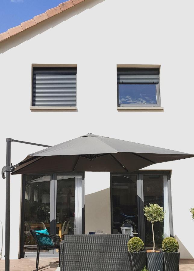 La Maison Bleue, A 20 Mn De Strasbourg, Sur La Route Des Vins, Jusqu'A 6 Personnes, Selestat Exterior photo