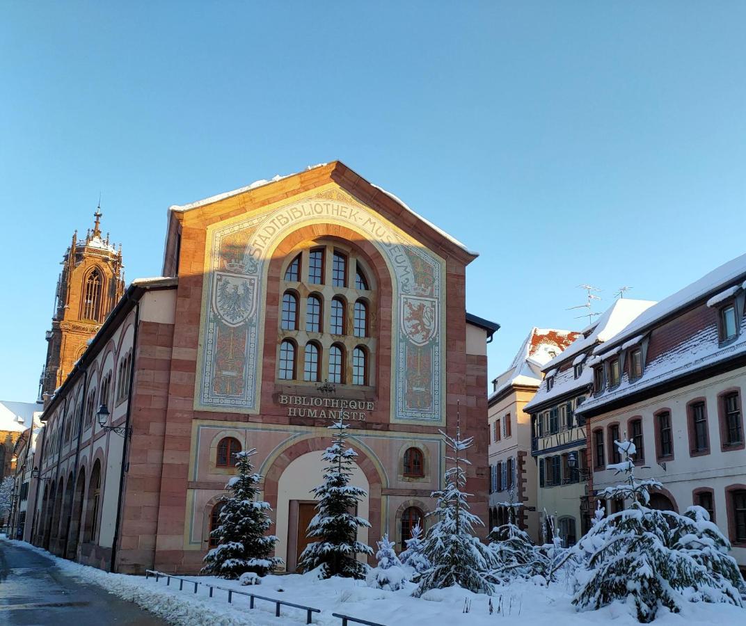 La Maison Bleue, A 20 Mn De Strasbourg, Sur La Route Des Vins, Jusqu'A 6 Personnes, Selestat Exterior photo